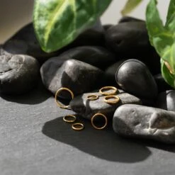 14k Gold Hinged Segment Ring -Stretch It Body Jewellery 14k gold hinged segment ring group shot d72e1a1b 10dc 4a4f 94b8 4e09582d08cc