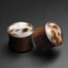 Sono Wood Double Flare Convex Plug With Tiger Cowrie Shell Inlay -Stretch It Body Jewellery Tiger Cowrie Shell Sono Wood Plug
