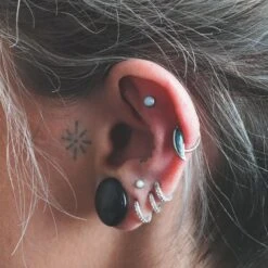 Abalone Shell Wing Titanium Hinged Segment Ring -Stretch It Body Jewellery abalone shell wing titanium hinged segment ring model shot