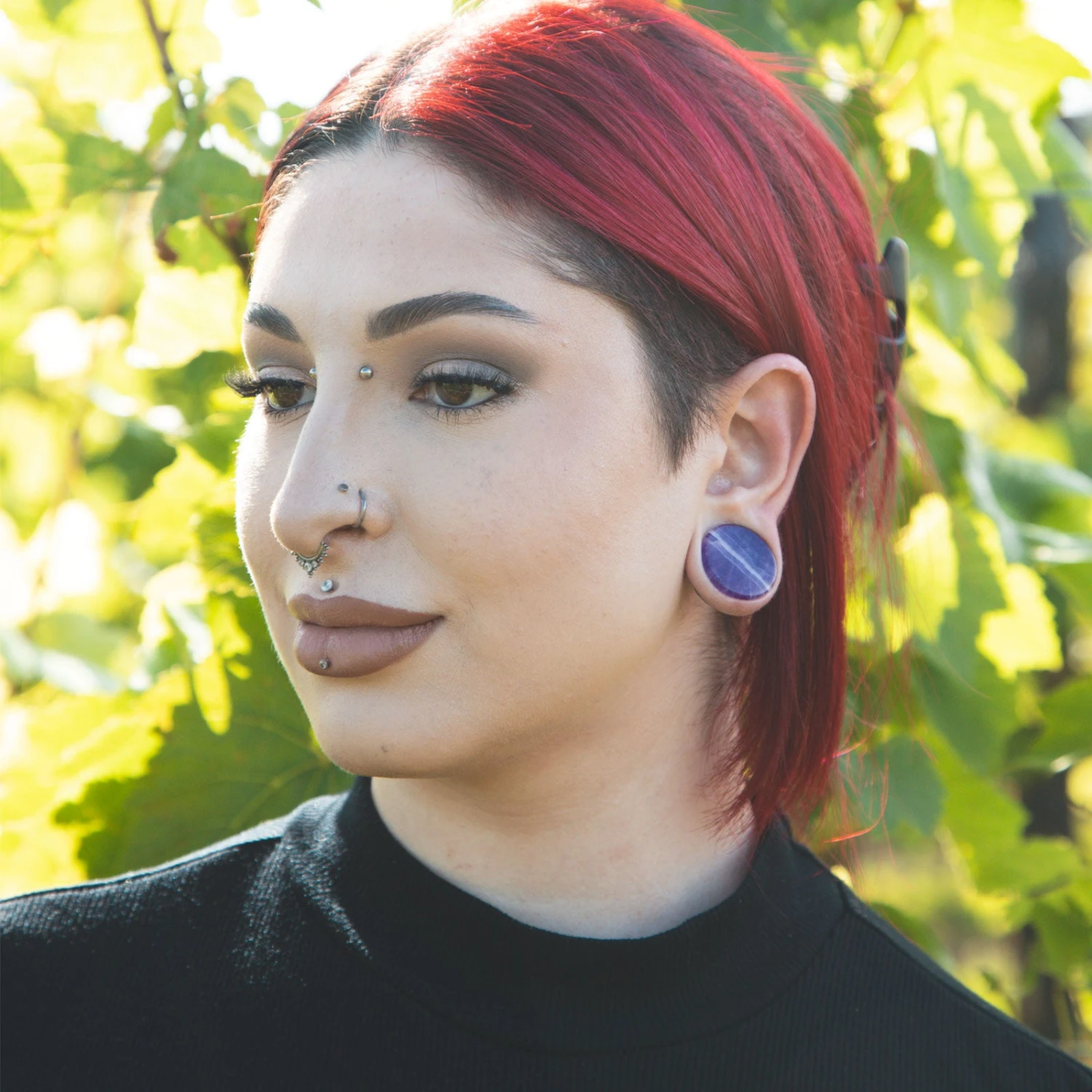 Amethyst Double Flare Stone Plug 4 Amethyst Double Flare Stone Plug - Image 2