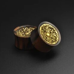 Areng Wood Double Flare Plug With Brass Shield Inlay