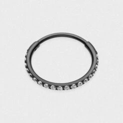 Bejewelled Black PVD Titanium Hinged Segment Ring
