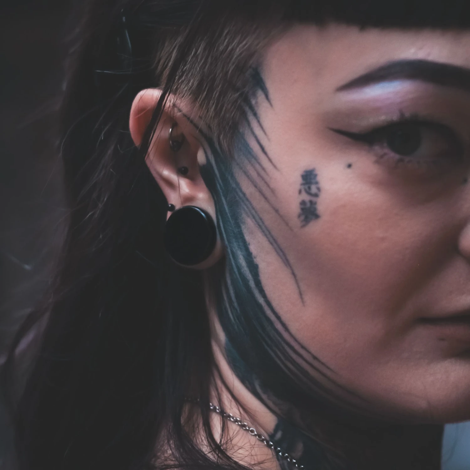 Black Onyx Double Flare Stone Plug 5 Black Onyx Double Flare Stone Plug - Image 3