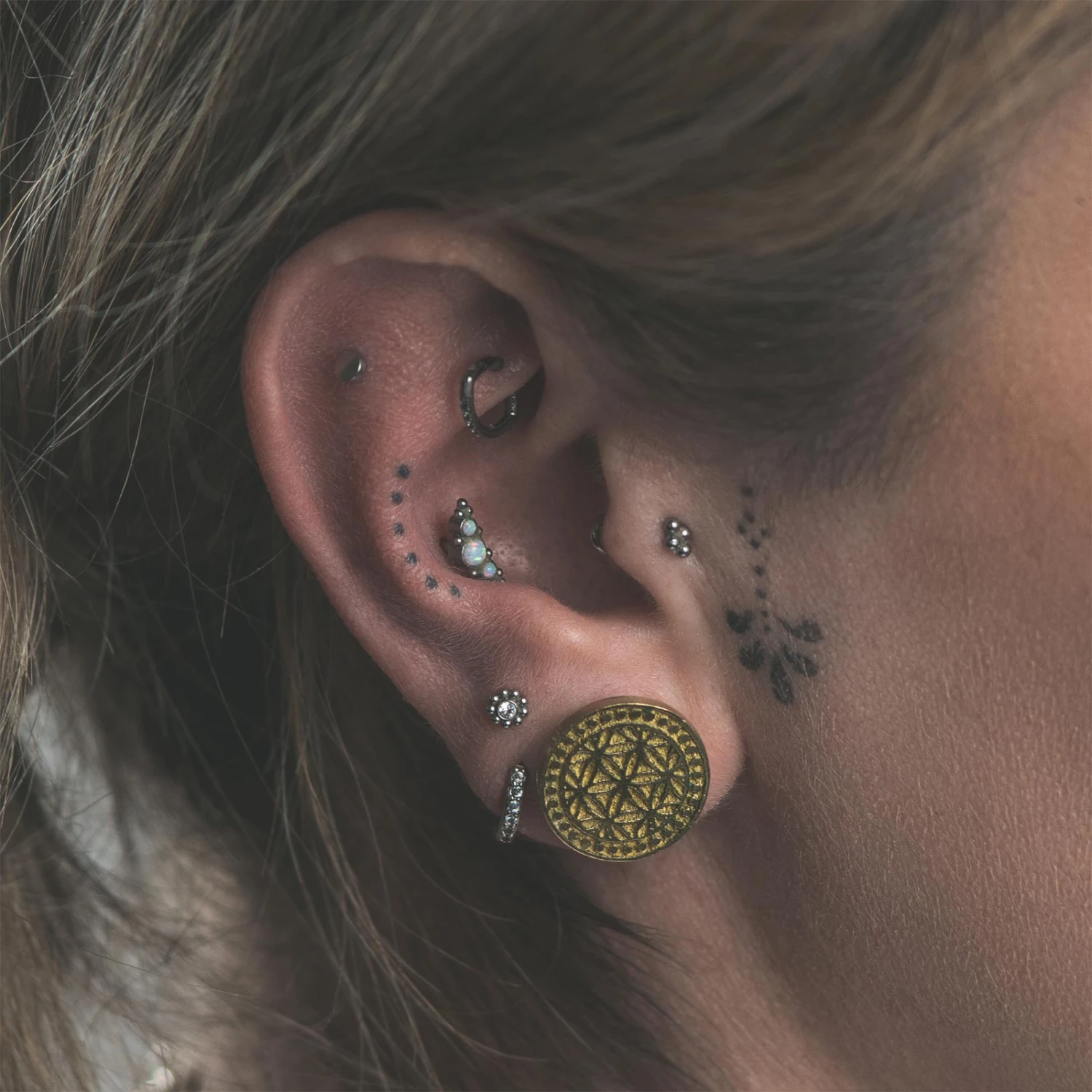 Brass Flower Of Life Double Flare Plug (Hollow Backed) 4 Brass Flower Of Life Double Flare Plug (Hollow Backed) - Image 2