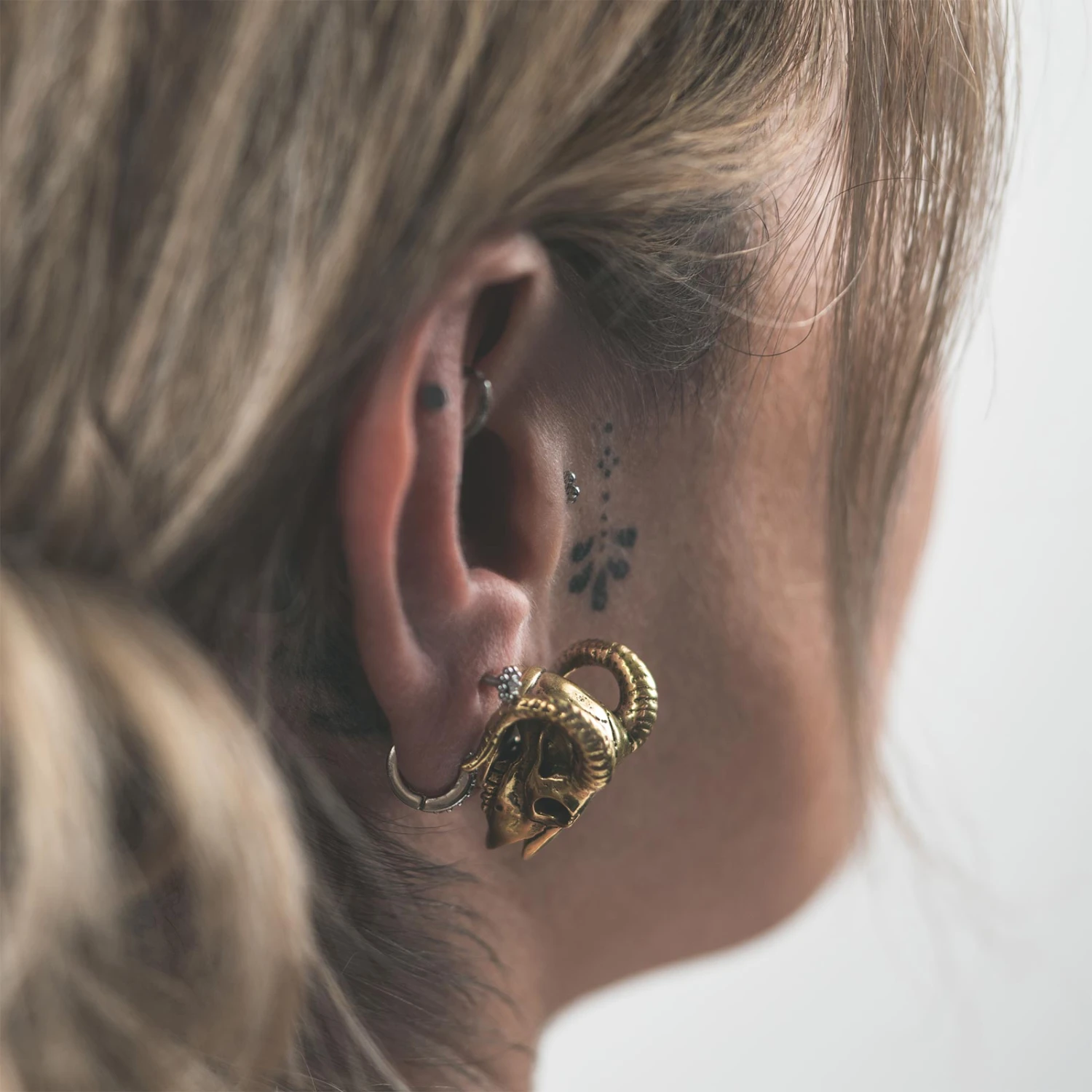 Brass Ram Skull Double Flare Plug 5 Brass Ram Skull Double Flare Plug - Image 3