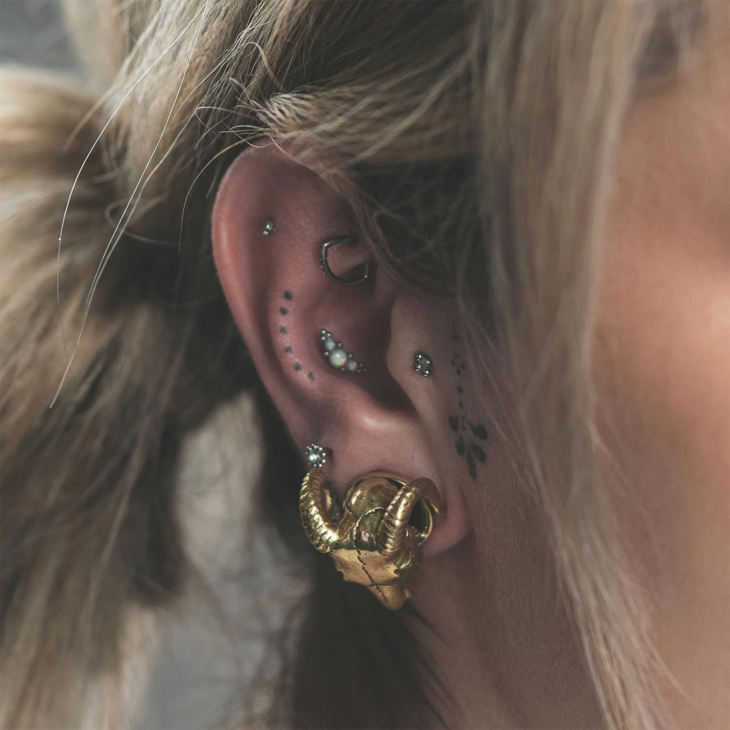 Brass Ram Skull Double Flare Plug 4 Brass Ram Skull Double Flare Plug - Image 2