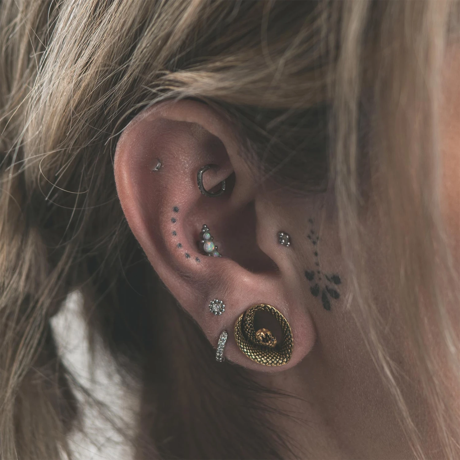 Coiled Snake Gold PVD Teardrop Saddle Ear Weight 4 Coiled Snake Gold PVD Teardrop Saddle Ear Weight - Image 2