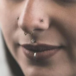 Crescent Gold PVD Titanium Hinged Segment Daith Earring 8 Crescent Gold PVD Titanium Hinged Segment Daith Earring -Stretch It Body Jewellery crescent gold pvd titanium hinged segment daith earring model side shot