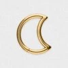 Crescent Gold PVD Titanium Hinged Segment Daith Earring