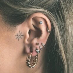 Cuban Link Hoop Rose Gold PVD Magnetic Ear Weight 8 Cuban Link Hoop Rose Gold PVD Magnetic Ear Weight -Stretch It Body Jewellery cuban link hoop rose gold pvd magnetic ear weight model shot