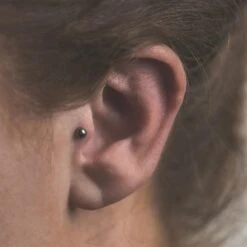 Domed Disc Titanium Threadless Top -Stretch It Body Jewellery domed disc titanium threadless top model shot