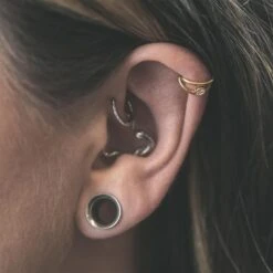 Double Hoop Single Jewel Gold PVD Titanium Hinged Segment Ring 8 Double Hoop Single Jewel Gold PVD Titanium Hinged Segment Ring -Stretch It Body Jewellery double hoop single jewel gold pvd titanium hinged segment ring model shot