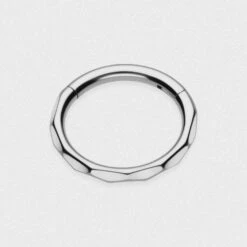 Faceted Titanium Hinged Segment Ring