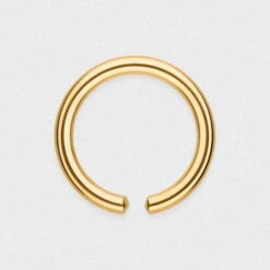 Gold PVD Titanium Seamless Nose Ring