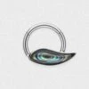 Abalone Shell Wing Titanium Hinged Segment Ring