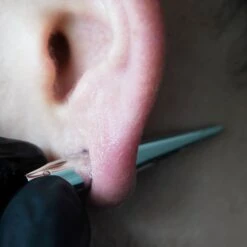 Surgical Steel Taper Kit -Stretch It Body Jewellery insert taper 8ea78ff2 06db 408f bca3 5d58dae63302