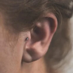 Marquise Cut Bezel Set Jewelled Titanium Threadless Top -Stretch It Body Jewellery marquise cut bezel set jewelled titanium threadless top model shot