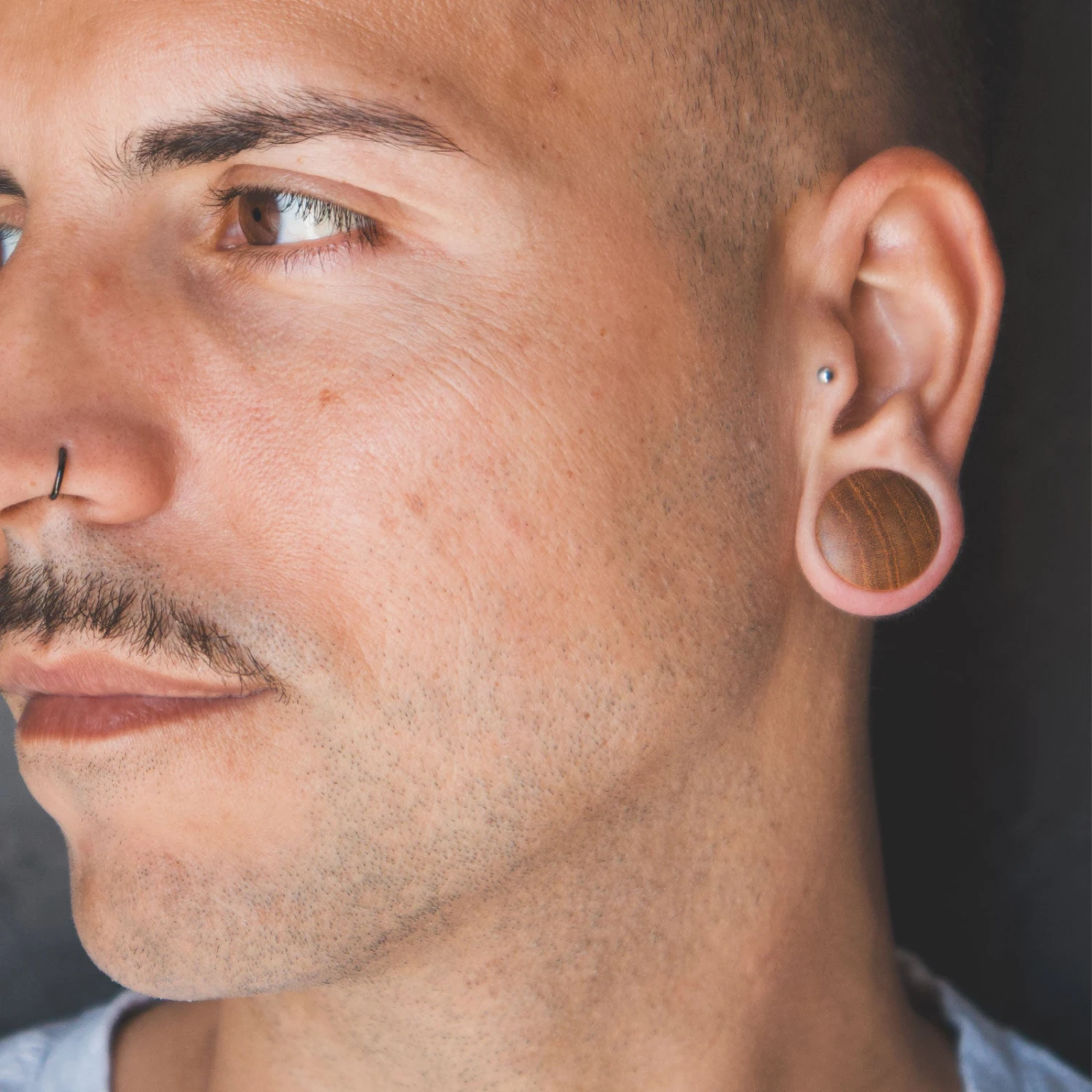 Olive Wood Double Flare Convex Plug 4 Olive Wood Double Flare Convex Plug - Image 2