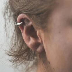 Pearl Shell Wing Titanium Hinged Segment Ring -Stretch It Body Jewellery pearl shell wing titanium hinged segment ring model shot