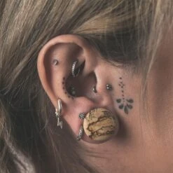 Picture Jasper Single Flare Convex Stone Plug 8 Picture Jasper Single Flare Convex Stone Plug -Stretch It Body Jewellery picture jasper single flare convex stone plug model shot