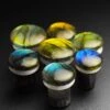 Grade AAA Labradorite Single Flare Convex Stone Plug