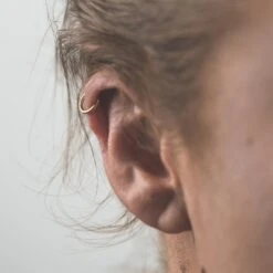 Quilted Gold PVD Titanium Hinged Segment Ring -Stretch It Body Jewellery quilted gold pvd titanium hinged segment ring model shot