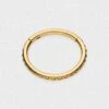 Quilted Gold PVD Titanium Hinged Segment Ring
