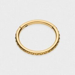 Quilted Gold PVD Titanium Hinged Segment Ring