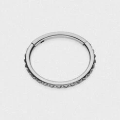 Quilted Titanium Hinged Segment Ring