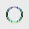 Rainbow PVD Titanium Hinged Segment Ring -Stretch It Body Jewellery rainbow pvd titanium hinged segment ring 1 web grey