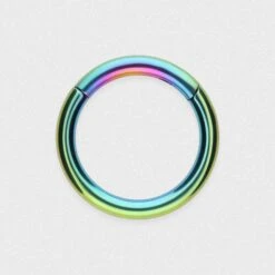 Rainbow PVD Titanium Hinged Segment Ring