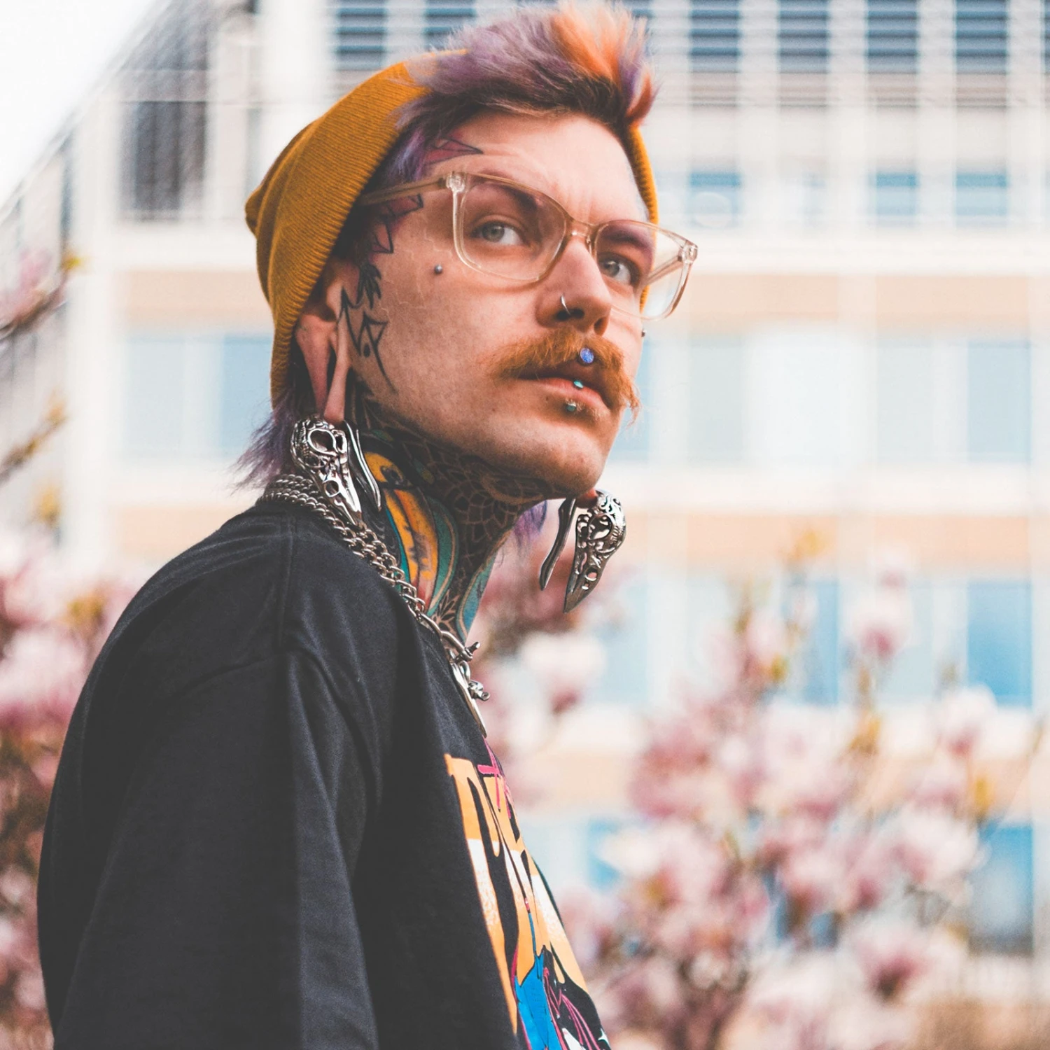 Regal Bird Skull Surgical Steel Ear Weight 4 Regal Bird Skull Surgical Steel Ear Weight - Image 2