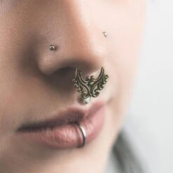 Regal Brass Seamless Septum Ring -Stretch It Body Jewellery regal brass seamless septum ring model shot