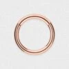 Rose Gold PVD Titanium Hinged Segment Ring