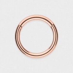 Rose Gold PVD Titanium Hinged Segment Ring