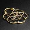 Seed Of Life Brass Mini Plug Hoops -Stretch It Body Jewellery seed of life hoops