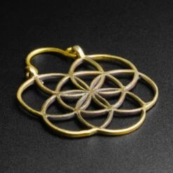 Seed Of Life Brass Mini Plug Hoops