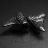 Shark Tooth Black PVD Ear Weight -Stretch It Body Jewellery shark tooth black pvd ear weight