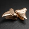 Shark Tooth Rose Gold PVD Ear Weight