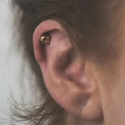 Skull 18k Gold Plated Threadless Top -Stretch It Body Jewellery skull 18k gold plated threadless top model shot