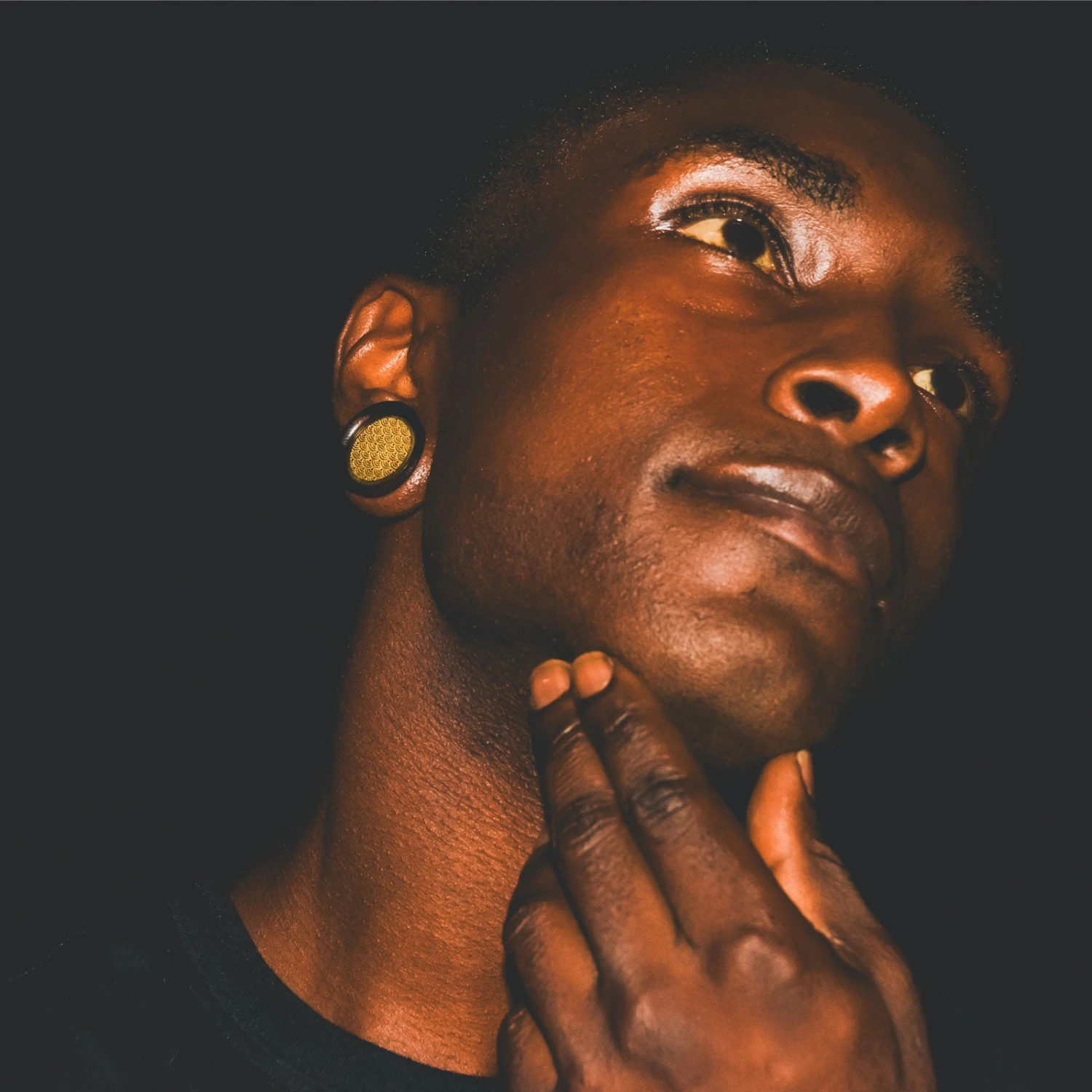 Sono Wood Double Flare Plug With Brass Japanese Wave Inlay 4 Sono Wood Double Flare Plug With Brass Japanese Wave Inlay - Image 2