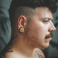 Sono Wood Double Flare Plug With Brass Owl Inlay -Stretch It Body Jewellery sono wood double flare plug with brass owl inlay model shot