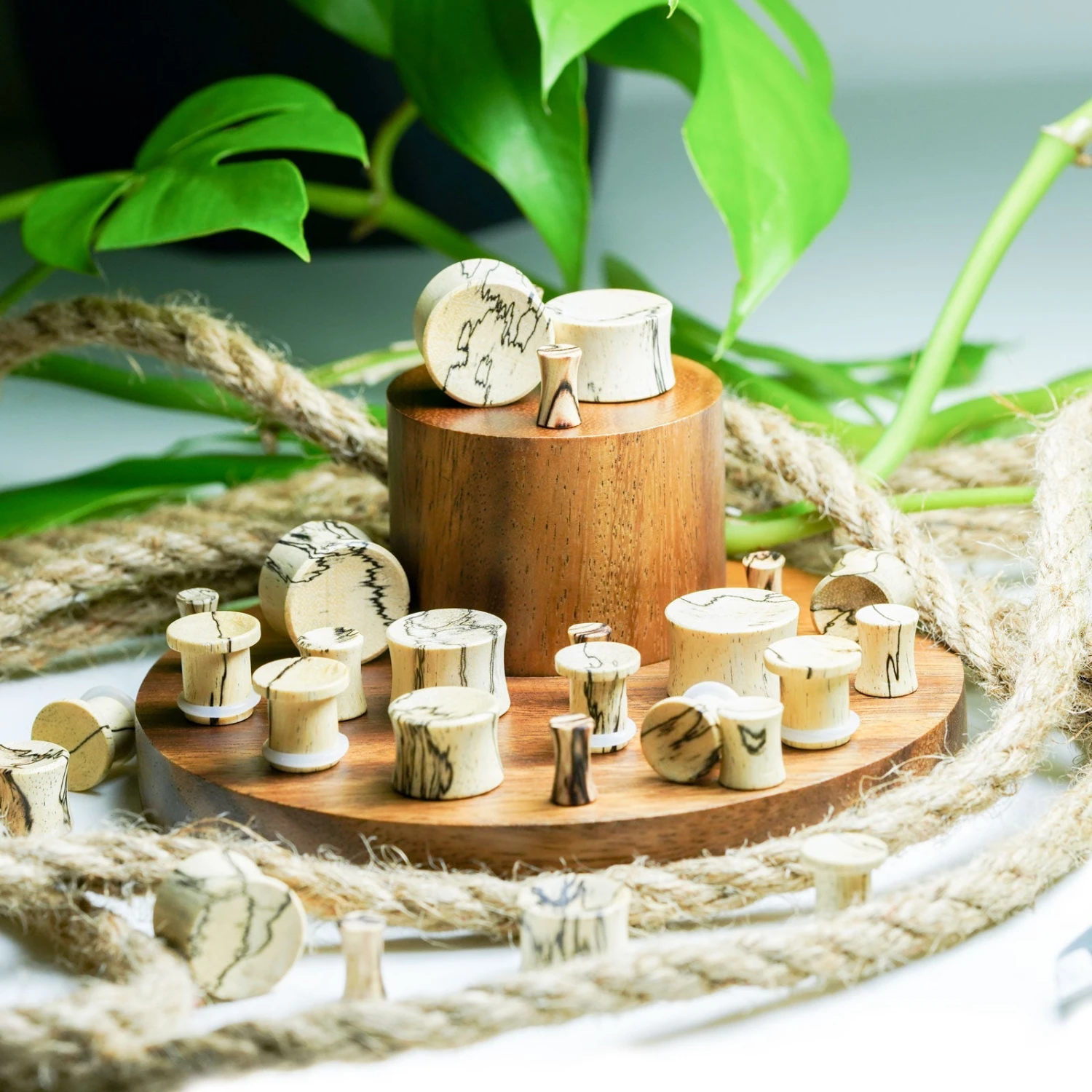 Tamarind Wood Double Flare Concave Plug 4 Tamarind Wood Double Flare Concave Plug - Image 2