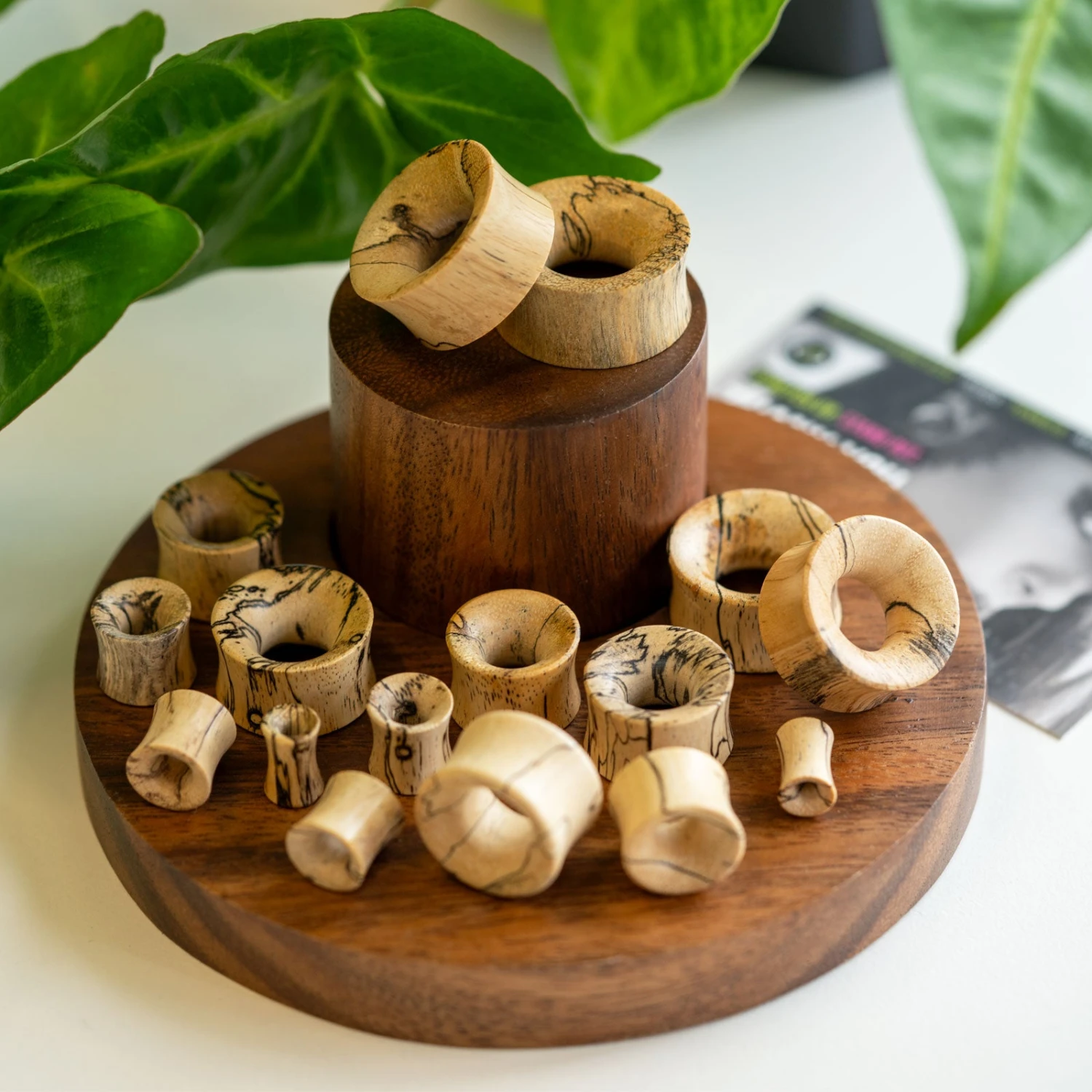 Tamarind Wood Double Flare Concave Tunnel 4 Tamarind Wood Double Flare Concave Tunnel - Image 2