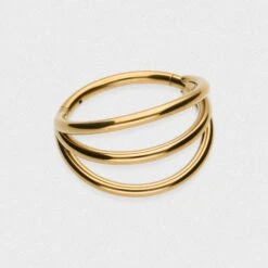 Triple Hoop Gold PVD Titanium Hinged Segment Ring