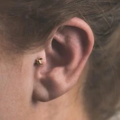 Turtle 18k Gold Plated Threadless Top 8 Turtle 18k Gold Plated Threadless Top -Stretch It Body Jewellery turtle 18k gold plated threadless top model shot